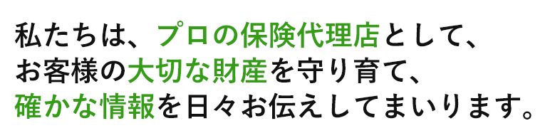 損害保険代理店業務、コンサルタント業務、日用品雑貨の販売業務、刊行物の印刷・発行に関する業務神楽坂の株式会社ヒユウ